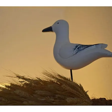 Fischer Comfortable 펜션