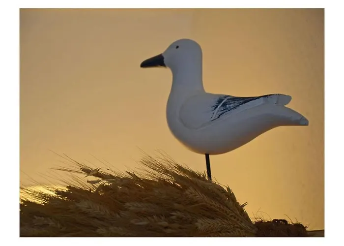 Fischer Comfortable Casa vacanze